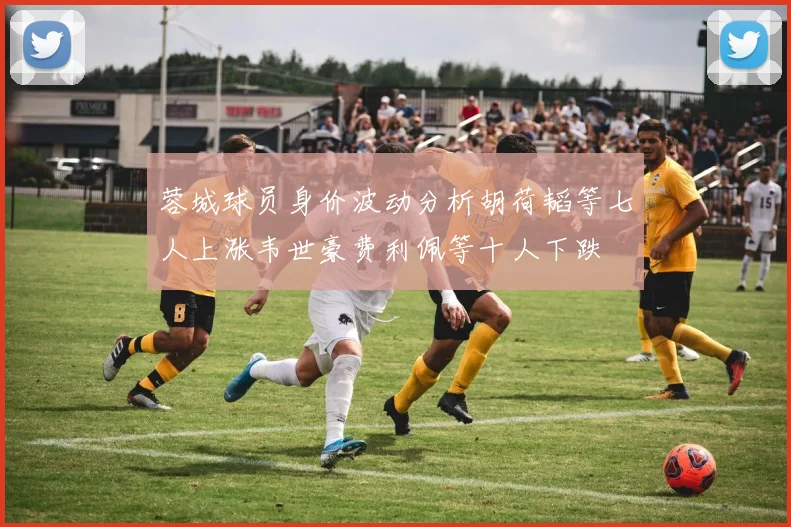 蓉城球员身价波动分析胡荷韬等七人上涨韦世豪费利佩等十人下跌
